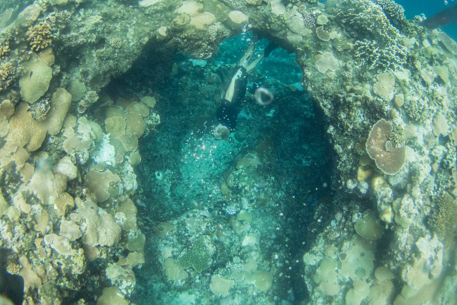 Free-Diving_philippines-ticket-to-ride