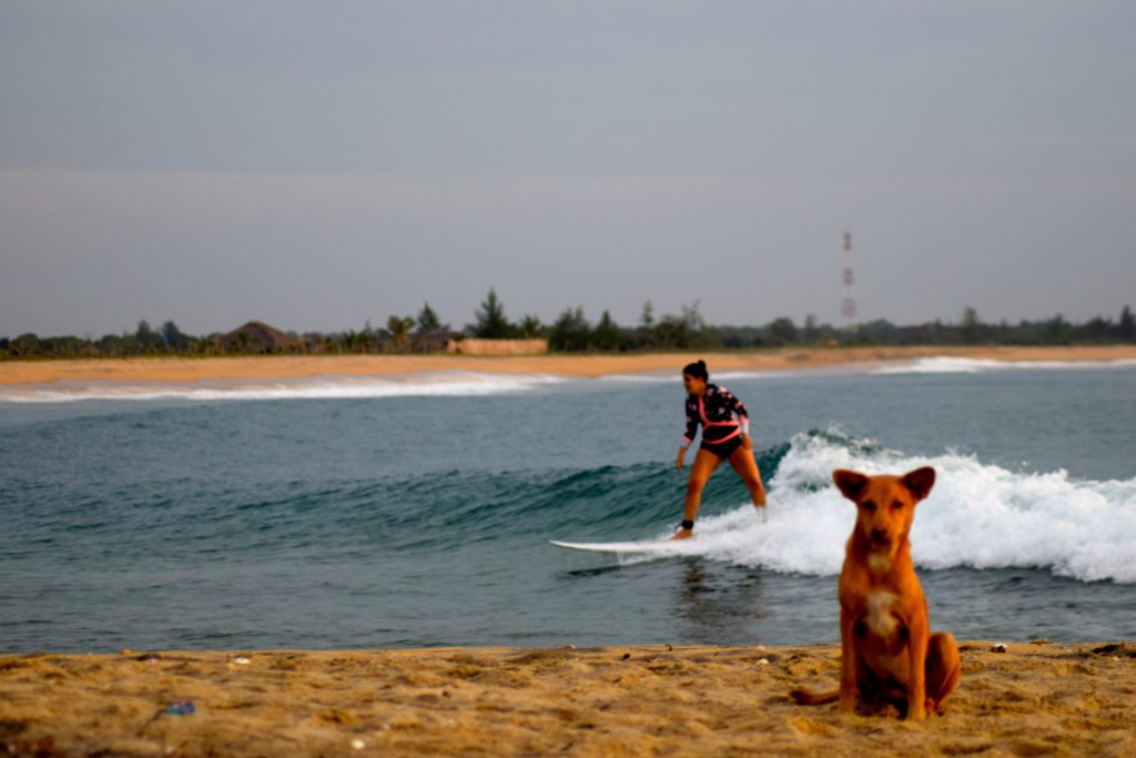How a gap year surfing can boost your credentials!
